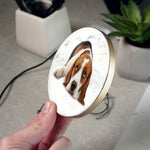 IPR Charging Creations For Pets!