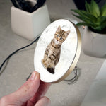 IPR Charging Creations For Pets!