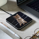 IPR Charging Creations For Pets!